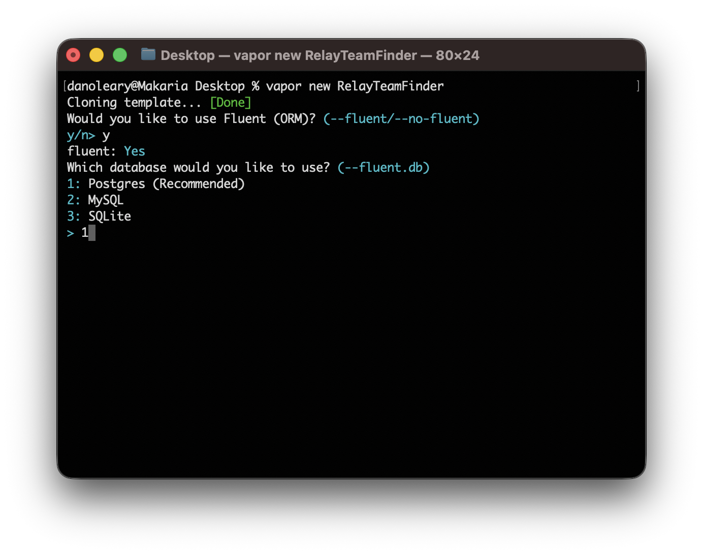 Image of Terminal and Fluent set up.